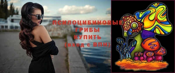 дурь Богданович