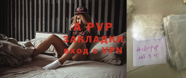 дурь Богданович
