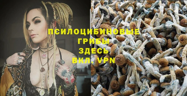 эйфоретик Богородицк