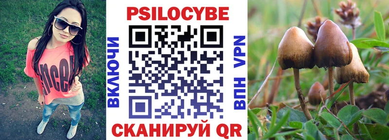 нарко площадка какой сайт  Верещагино  Псилоцибиновые грибы Psilocybe  где можно купить  